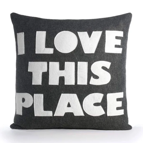 Alexandra Ferguson Celebrate Everyday I Love This Place Throw Pillow Color: Charcoal, White Felt, Size: 22x22 H x 22x22 W
