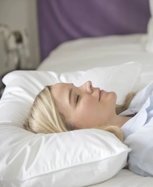 The Pillow Bar Down Alternative King Sleeper Pillow - Xoxo