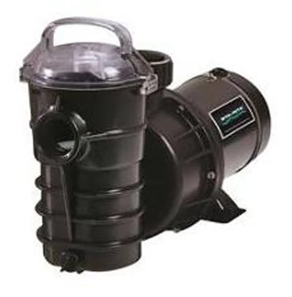 Pentair 340219 2 HP Dynamo Above Ground Swimming Pool Pump - Black