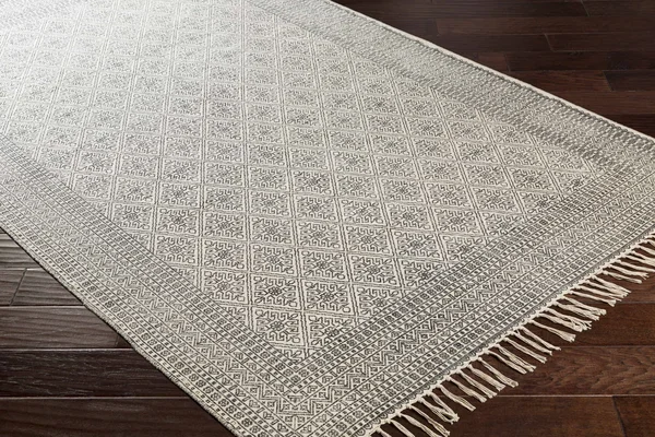 Brushton 6& x 9& Bohemian/Global Cotton Area Rug - Hauteloom