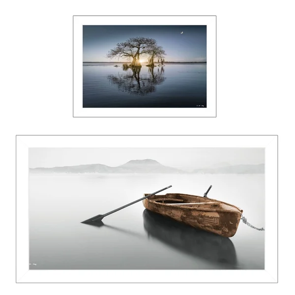 Tree Reflections by Moises Levy - Ready to Hang Framed Print, White Frame