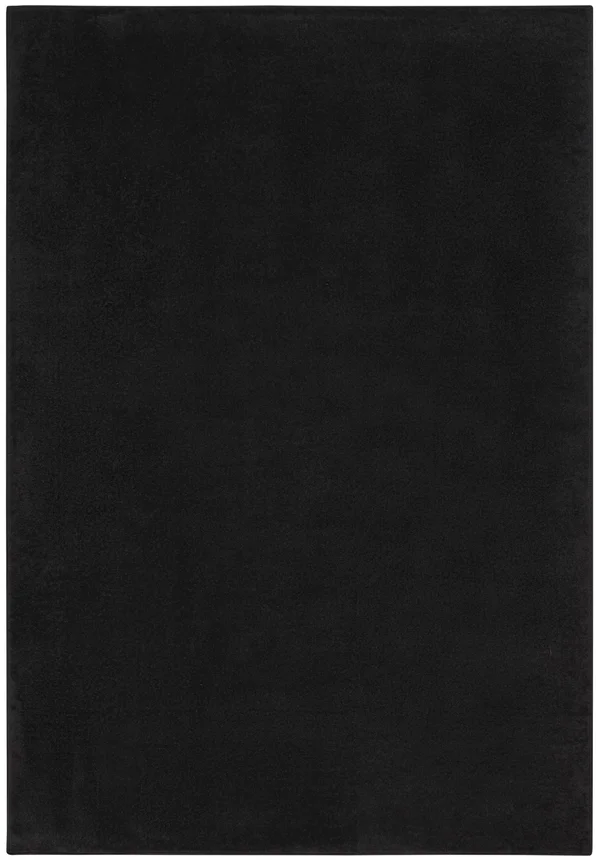 Nourison Essentials Indoor/Outdoor Contemporary Black Area Rug - Size: 4& x 6&